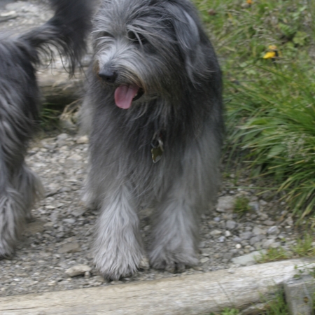 20 Florian im Allgäu im Urlaub 2006